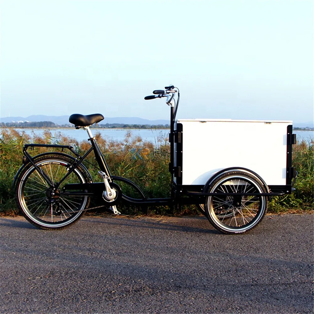 Трехколесный Электрический грузовой мотор на 3 колесах Портативный Торговый Велосипед Фруктовый Велосипед Европейского стандарта Motrike