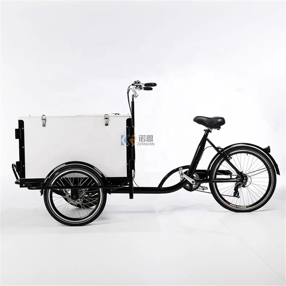 Трехколесный Электрический грузовой мотор на 3 колесах Портативный Торговый Велосипед Фруктовый Велосипед Европейского стандарта Motrike
