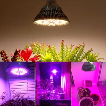 Par38 Grow Light 200 LED Sunshine 300W Лампа для выращивания комнатных растений с полным спектром для овощной теплицы 85-265 В E27 Растительная лампа